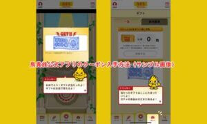 鳥貴族公式アプリのクーポン入手方法（サンプル画像）