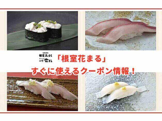 「根室花まる」のクーポン最新情報