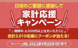ヒラキ公式サイトクーポン情報！（サンプル画像）