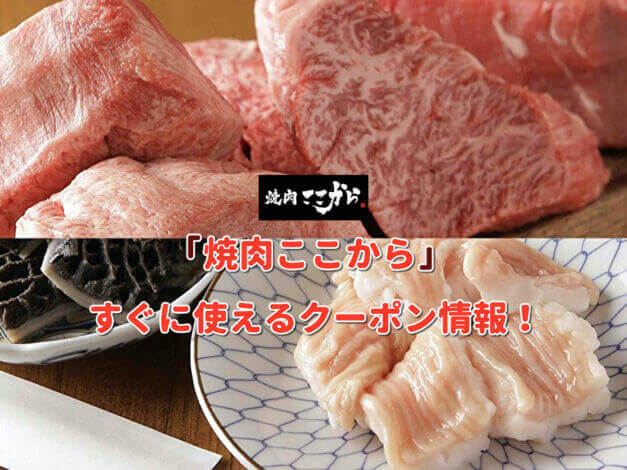 「焼肉ここから」クーポン最新情報！