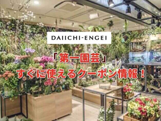 花屋「第一園芸」クーポン最新情報！