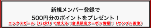 エックスガール（X-girl）で使える！会員限定クーポン情報！（サンプル画像）
