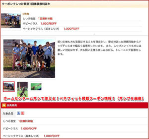 ホームセンタームサシで使える！ベネフィット掲載クーポン情報！（サンプル画像）