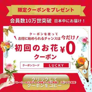 ブルーミーの公式サイト掲載クーポン情報！（サンプル画像）