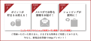 ニッコーのオンラインショップ会員クーポン情報!(サンプル画像)