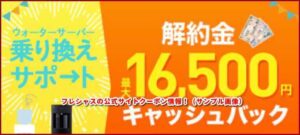 フレシャスの公式サイトクーポン情報2！（サンプル画像）