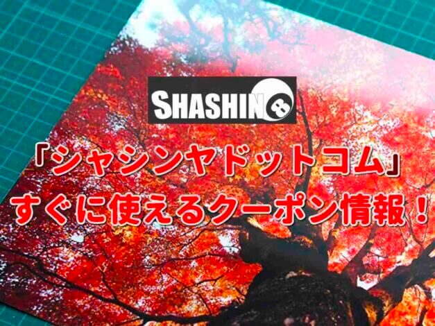 「シャシンヤドットコム」クーポン最新情報！