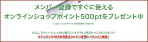ヨネックスのWEB会員限定クーポン情報！（サンプル画像）