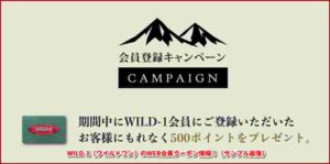 WILD-1（ワイルドワン）のWEB会員クーポン情報！（サンプル画像）