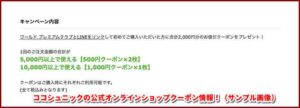ココシュニックの公式オンラインショップクーポン情報！（サンプル画像）