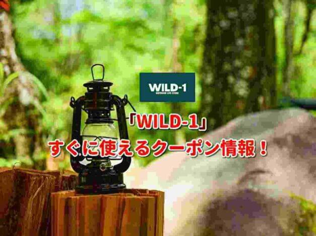 「WILD-1（ワイルドワン）」クーポン最新情報！