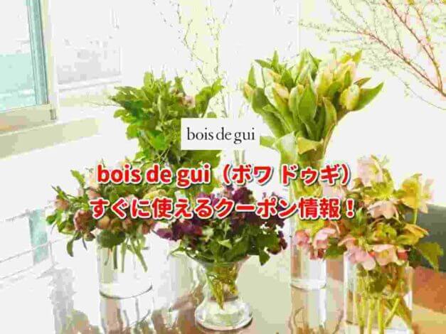 bois de gui（ボワ ドゥギ）クーポン最新情報！