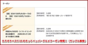 カラオケベスト10 のホットペッパーグルメクーポン情報！（サンプル画像）