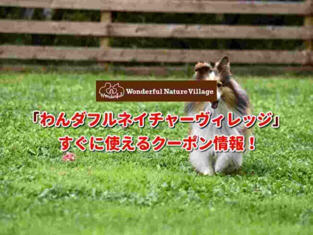 「わんダフルネイチャーヴィレッジ」クーポン最新情報！