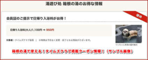 箱根の湯で使える！タイムズクラブ掲載クーポン情報！（サンプル画像）