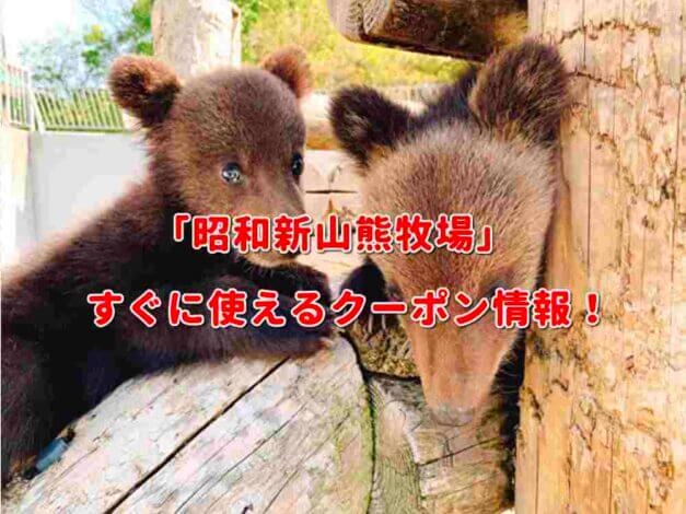 「昭和新山熊牧場」クーポン最新情報！